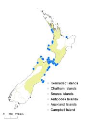 Asplenium appendiculatum subsp maritimum distribution map based on databased records at AK, CHR, OTA & WELT.
 Image: K. Boardman © Landcare Research 2017 CC BY 3.0 NZ
